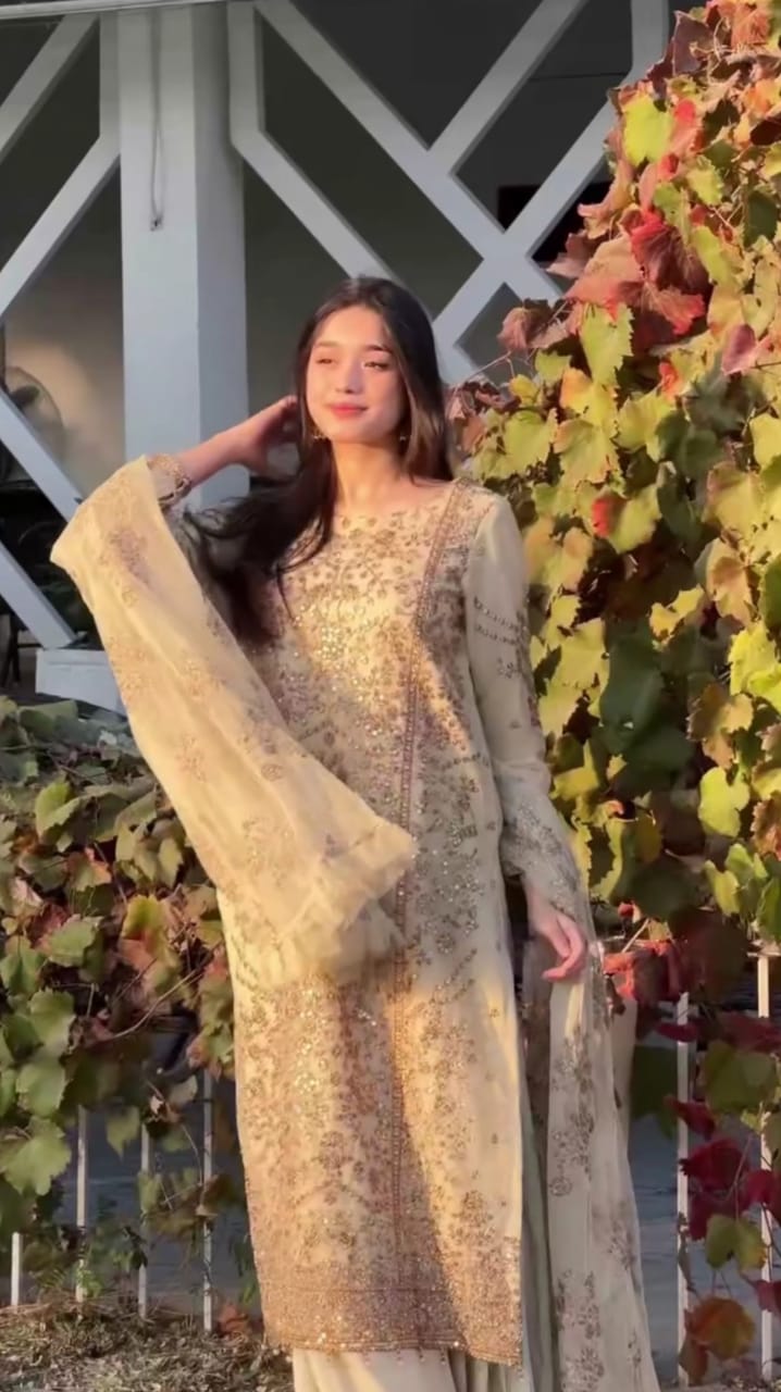 Elegant Party Wear 3-Pc Collection