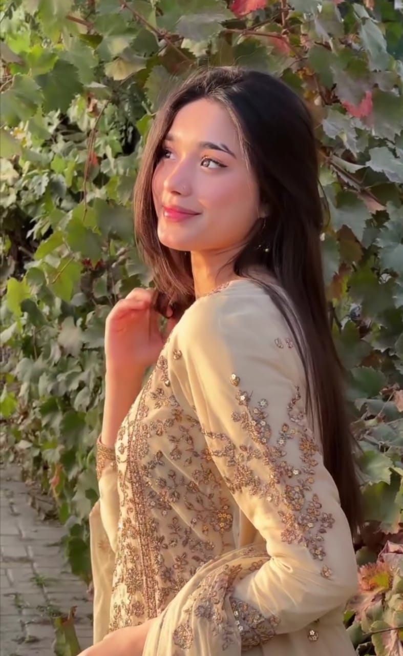 Elegant Party Wear 3-Pc Collection