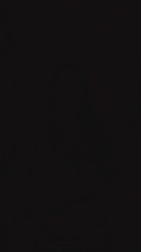 Signature Festive 3PC Embroidered Collection